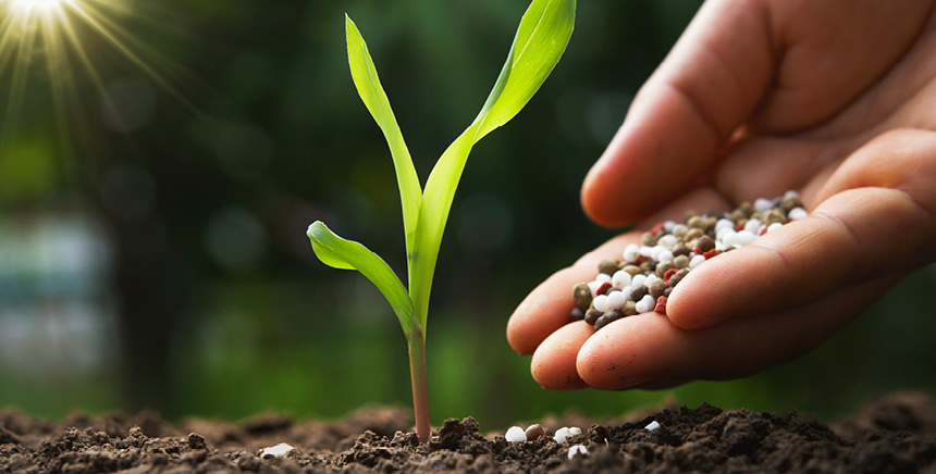 biostimulant et stress hydrique