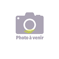 SABLE BEDOIN BE30 HUMIDE VRAC /T